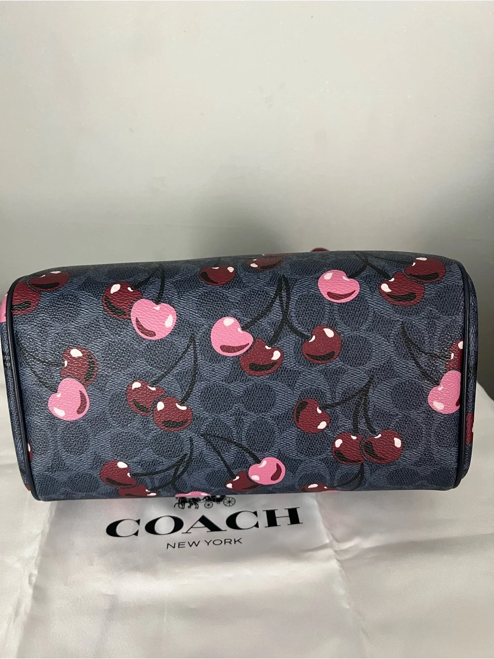 Rowan Satchel Bag Signature Canvas With Cherry 🍒Print Denim Multi Set